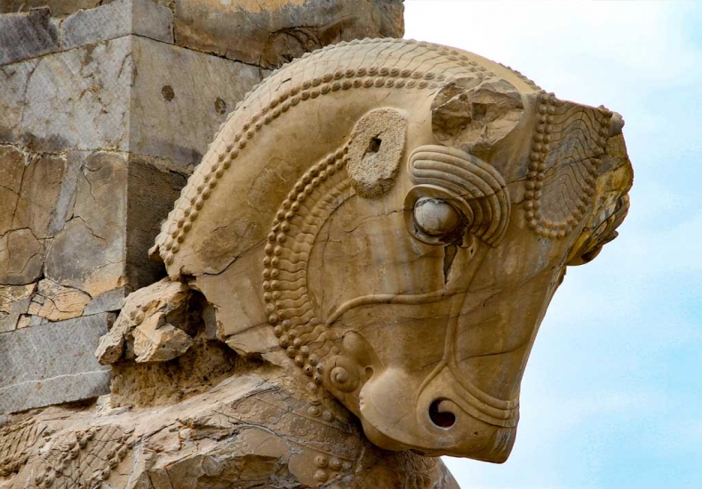 Shiraz Experiences