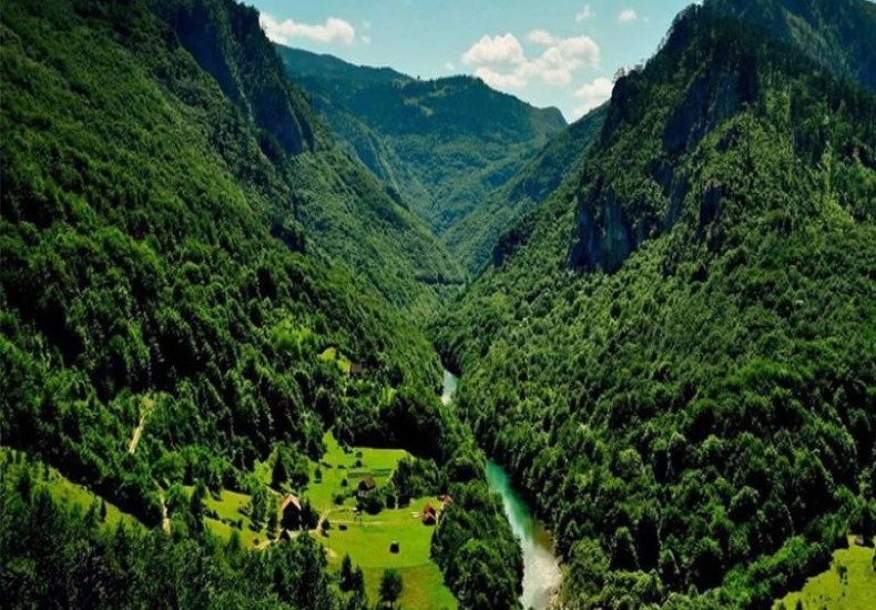 Bosques de Hircania inscritos como nuevo patrimonio de la humanidad por la UNESCO